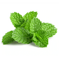 Peppermint