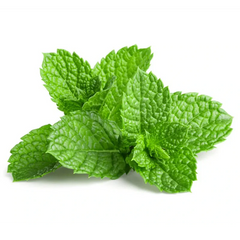 Peppermint